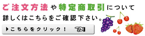 ご注文方法や特定商取引について詳しくはこちらをご確認下さい。こちらをクリック!